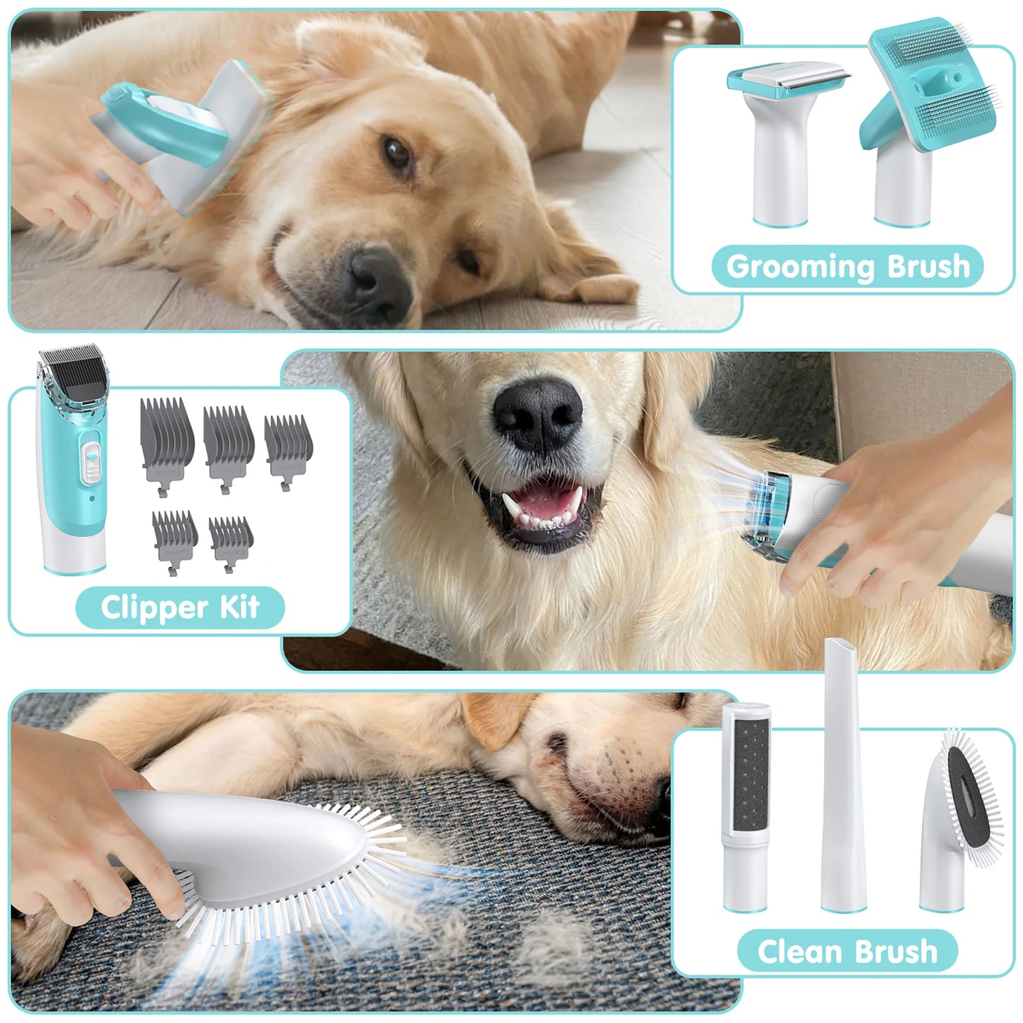 Professional 6-In-1 Dog Grooming Vacuum Kit - 11000PA High Suction & 1.5L Large Capacity | 99% Hair Removal with Complete Grooming Tools | High Suction Pet Vacuum for Professional Grooming