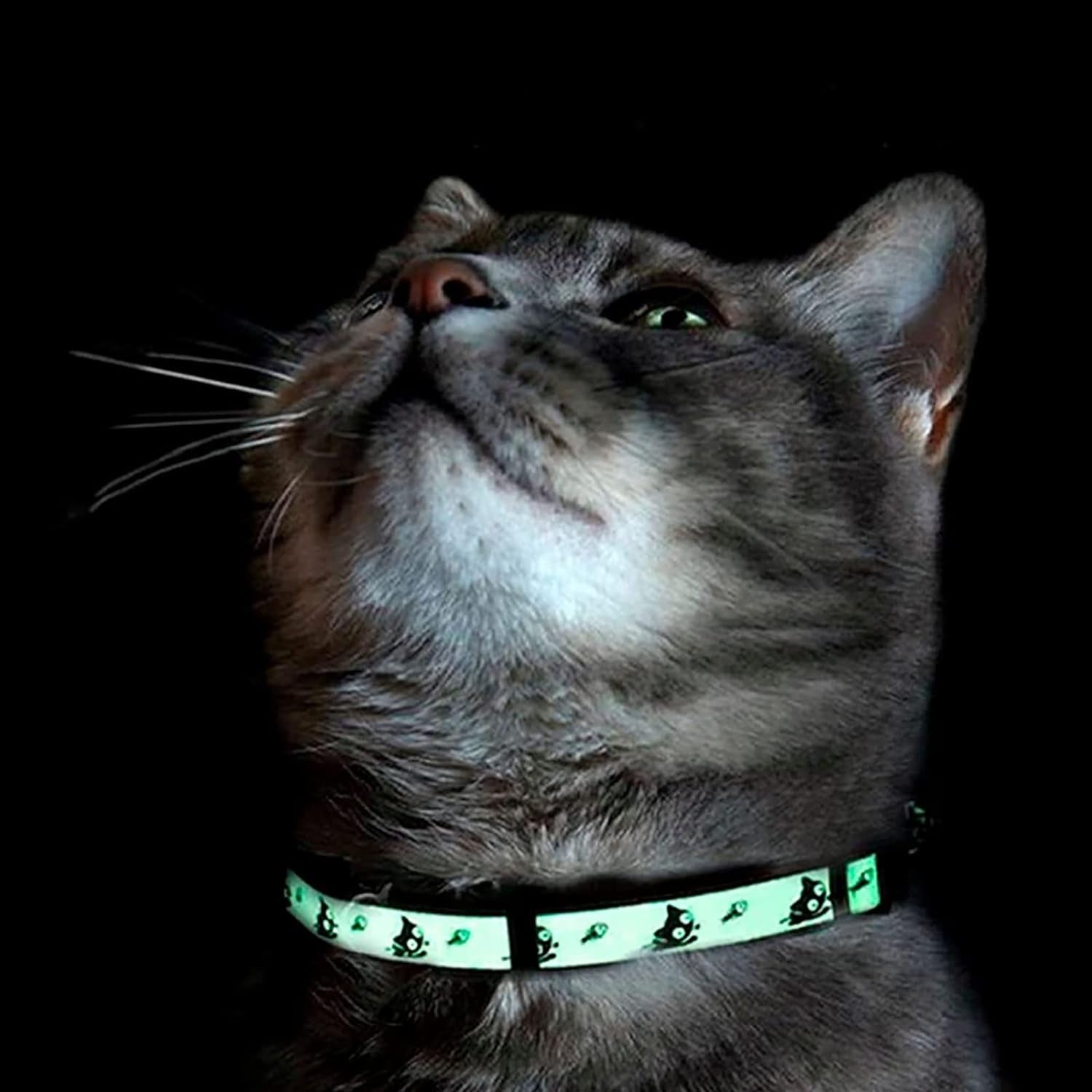 Glow in the Dark Cat Collar with Breakaway Safety Buckle & Bell Adjustable Kitten Collar, Teal