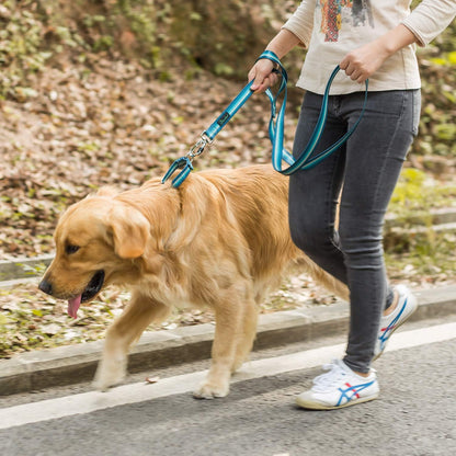 Martingale Dog Collar No Pull Pet Collar Heavy Duty Dog Martingale Collars Silky with Unique Geometric Pattern for Medium and Large Dogs (Large, Turquoise)